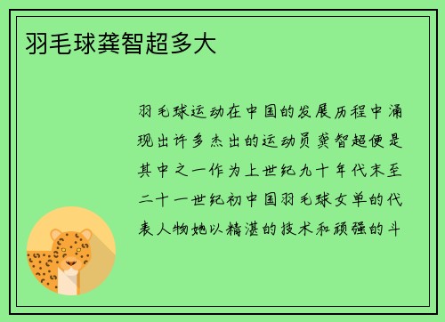 羽毛球龚智超多大
