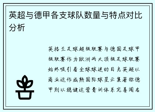 英超与德甲各支球队数量与特点对比分析